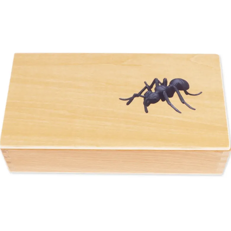 TimeTEX Lebenszyklus einer Ameise, in Holzbox "Montessori Premium"