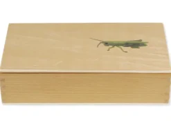 TimeTEX Lebenszyklus einer Heuschrecke, in Holzbox "Montessori Premium"