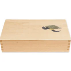 TimeTEX Lebenszyklus einer Schildkröte, in Holzbox 