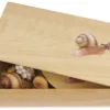 TimeTEX Lebenszyklus einer Schnecke, in Holzbox "Montessori Premium"