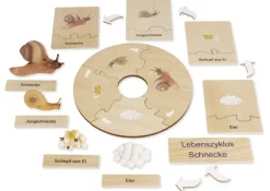 TimeTEX Lebenszyklus einer Schnecke, in Holzbox