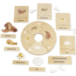 TimeTEX Lebenszyklus einer Schnecke, in Holzbox