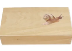 TimeTEX Lebenszyklus einer Schnecke, in Holzbox