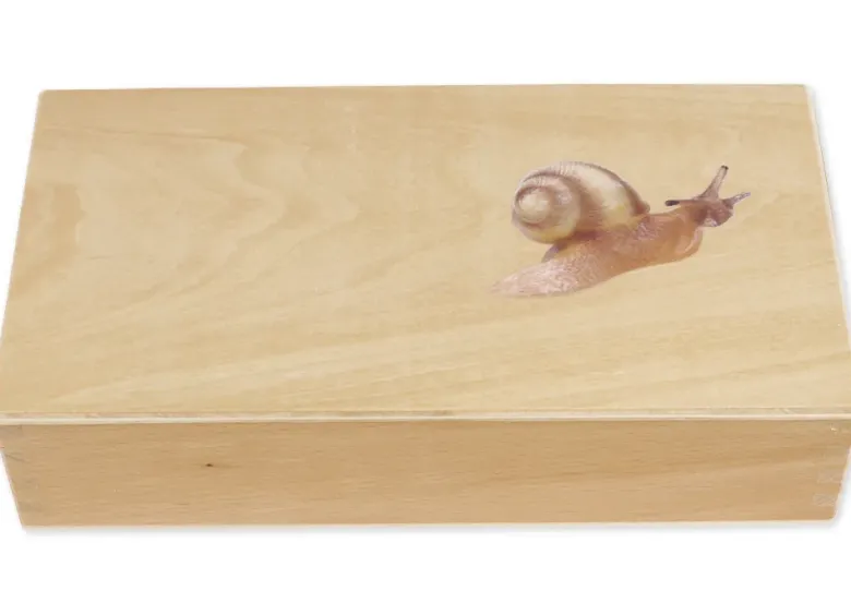 TimeTEX Lebenszyklus einer Schnecke, in Holzbox "Montessori Premium"