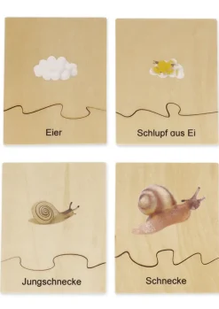 TimeTEX Lebenszyklus einer Schnecke, in Holzbox