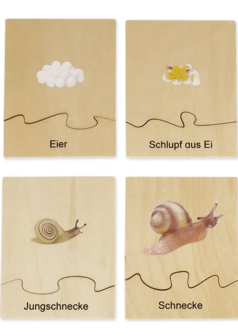 TimeTEX Lebenszyklus einer Schnecke, in Holzbox "Montessori Premium"