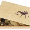 TimeTEX Lebenszyklus einer Spinne, in Holzbox "Montessori Premium"