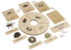TimeTEX Lebenszyklus einer Spinne, in Holzbox