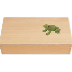 TimeTEX Lebenszyklus eines Frosches, in Holzbox