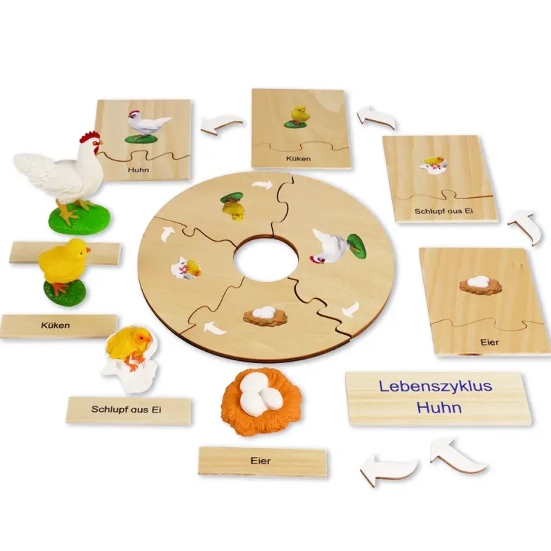 TimeTEX Lebenszyklus eines Huhns, in Holzbox "Montessori Premium"