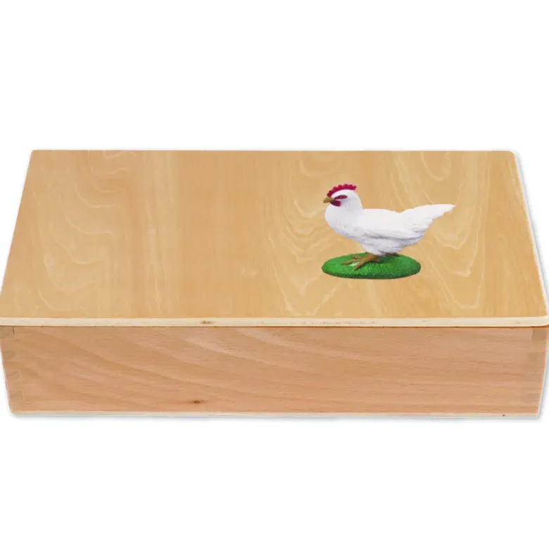 TimeTEX Lebenszyklus eines Huhns, in Holzbox "Montessori Premium"