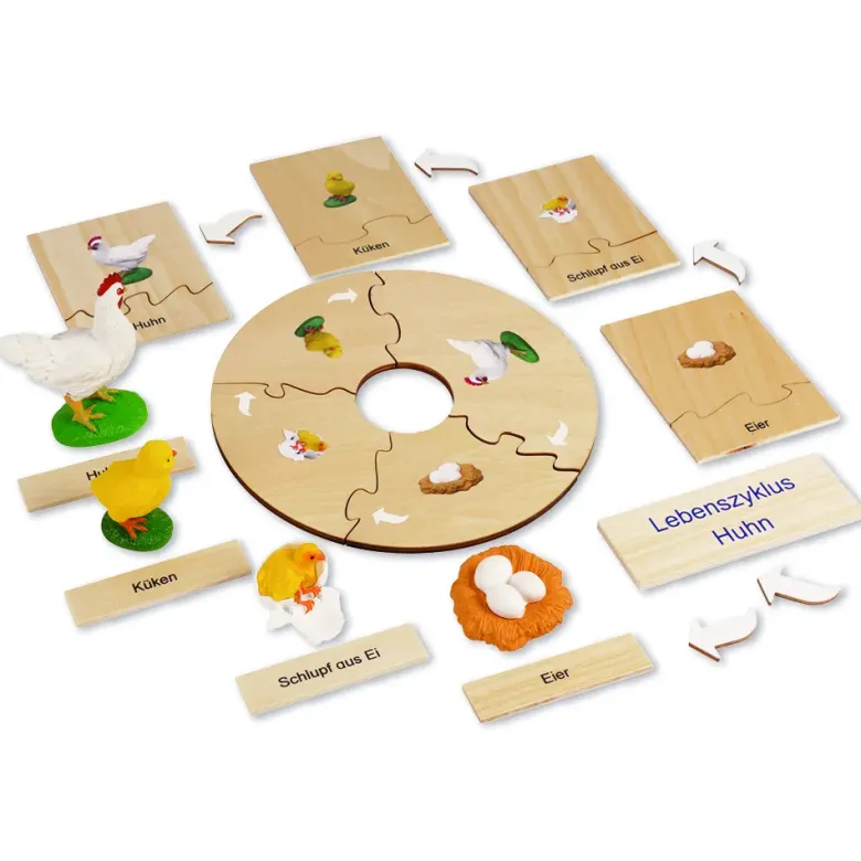 TimeTEX Lebenszyklus eines Huhns, in Holzbox "Montessori Premium"