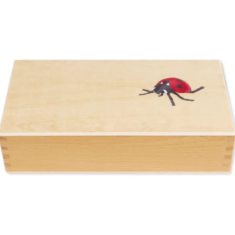 TimeTEX Lebenszyklus eines Marienkäfers, in Holzbox "Montessori Premium"