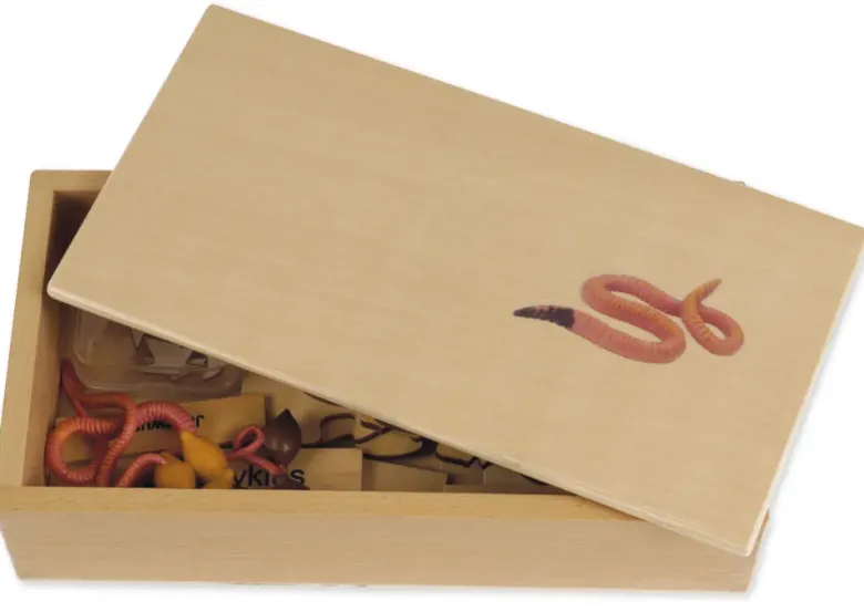 TimeTEX Lebenszyklus eines Regenwurms, in Holzbox "Montessori Premium"