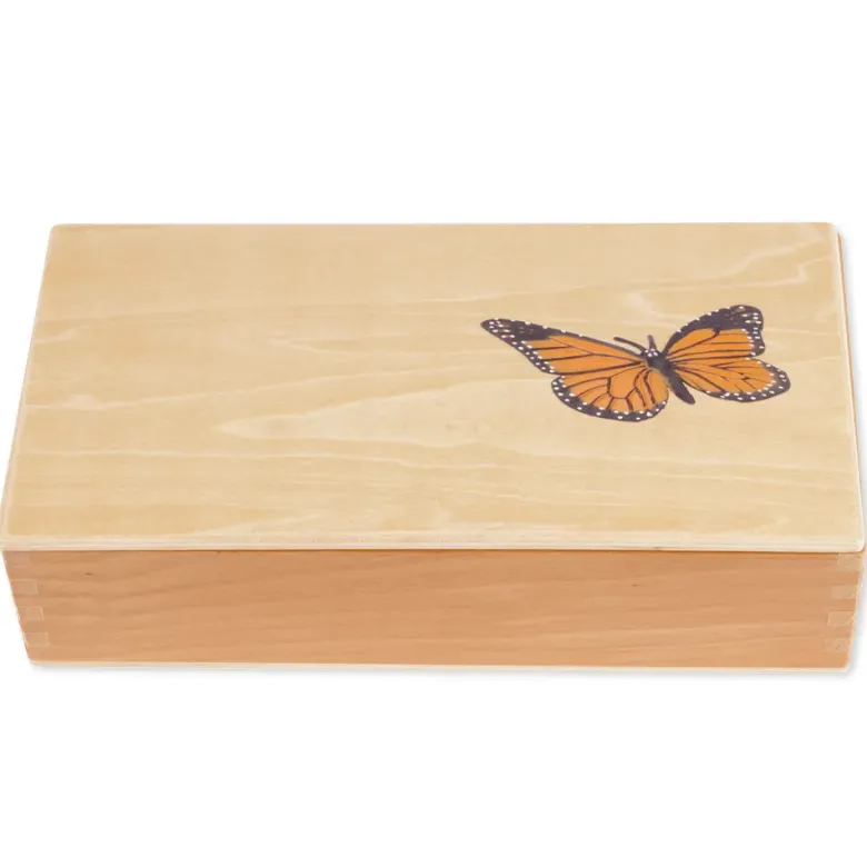 TimeTEX Lebenszyklus eines Schmetterlings, in Holzbox "Montessori Premium"