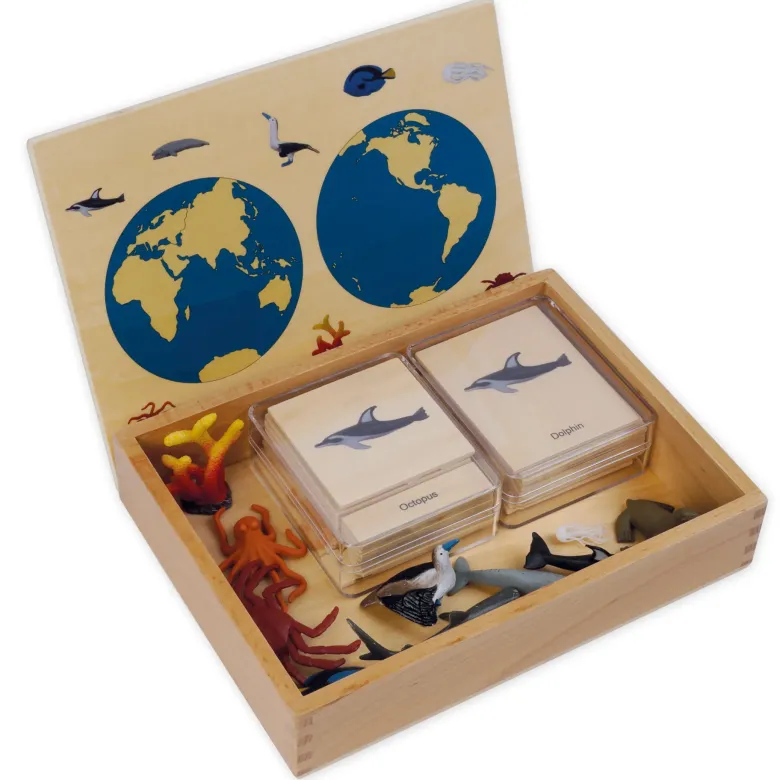 TimeTEX Mini-Meerestiere-Set "Montessori Premium"