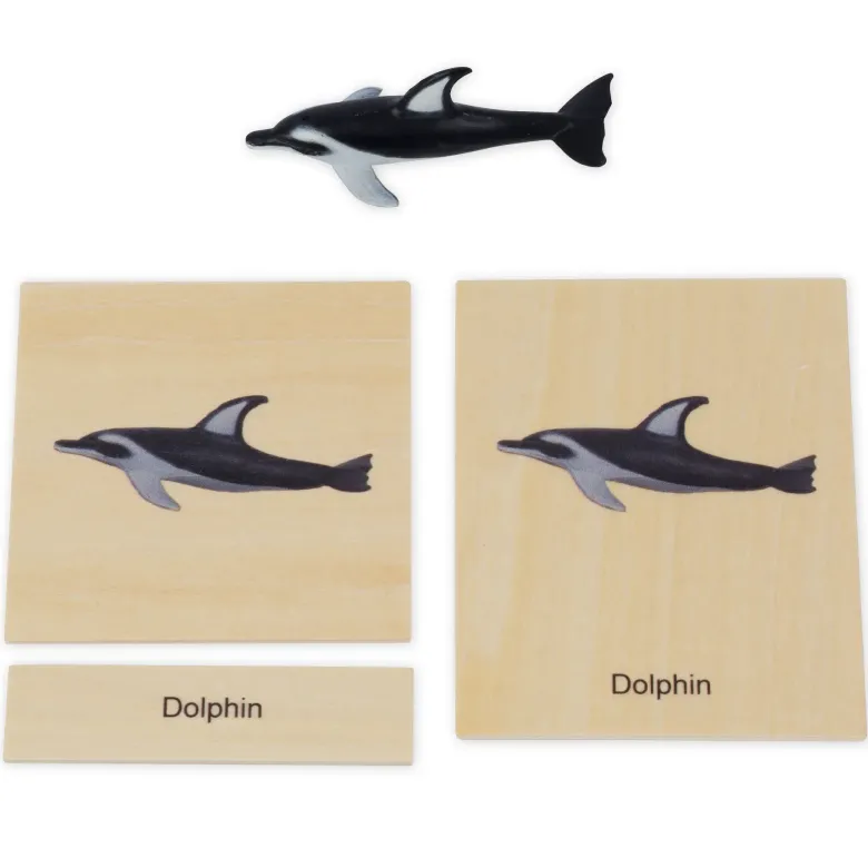 TimeTEX Mini-Meerestiere-Set "Montessori Premium"