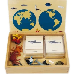TimeTEX Mini-Meerestiere-Set