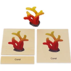 TimeTEX Mini-Meerestiere-Set