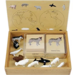 TimeTEX Mini-Polartiere-Set "Montessori Premium"