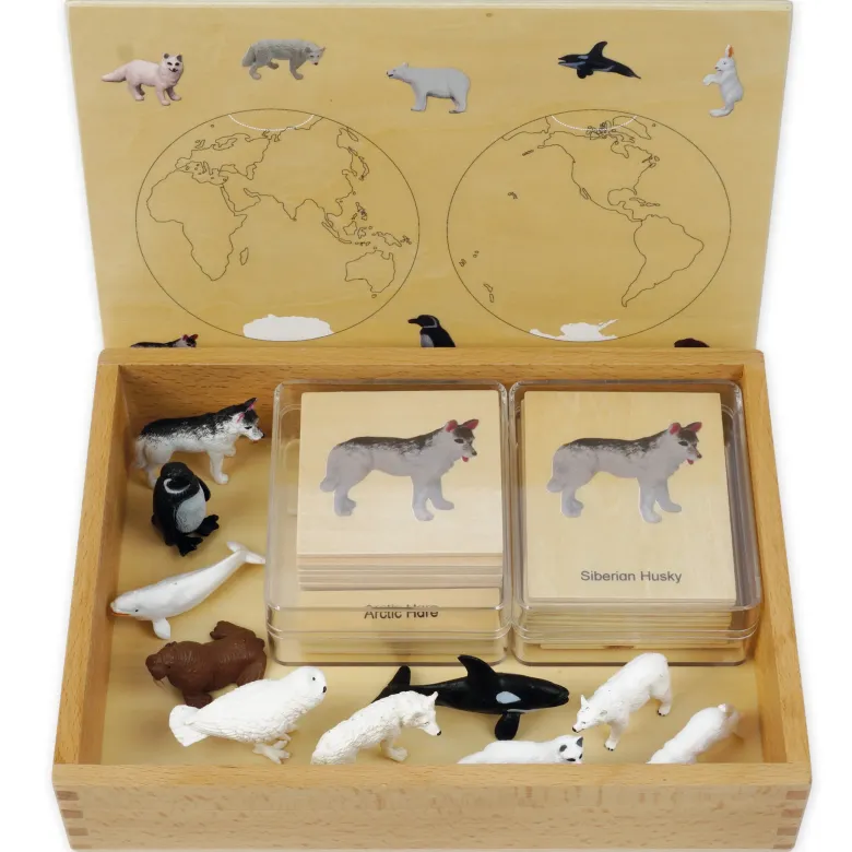 TimeTEX Mini-Polartiere-Set "Montessori Premium"