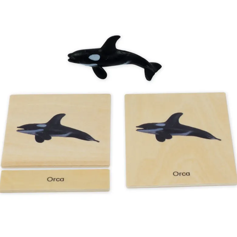 TimeTEX Mini-Polartiere-Set "Montessori Premium"