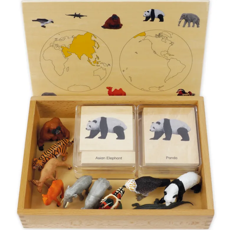 TimeTEX Mini-Tiere-Set Asien "Montessori Premium"