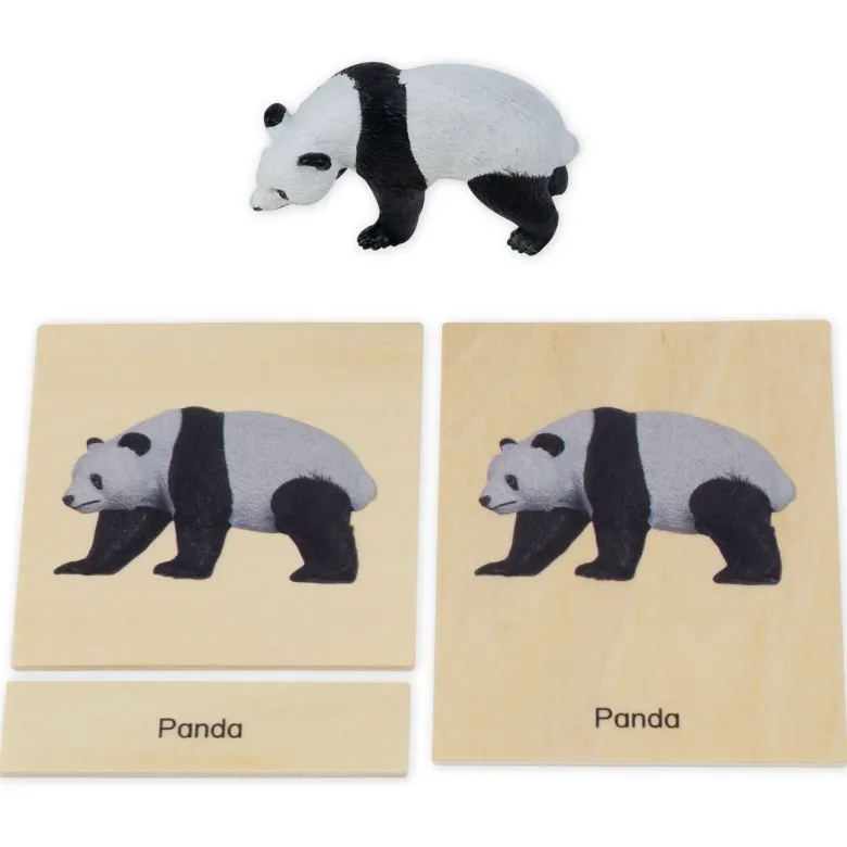 TimeTEX Mini-Tiere-Set Asien "Montessori Premium"