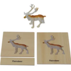 TimeTEX Mini-Tiere-Set Europa "Montessori Premium"