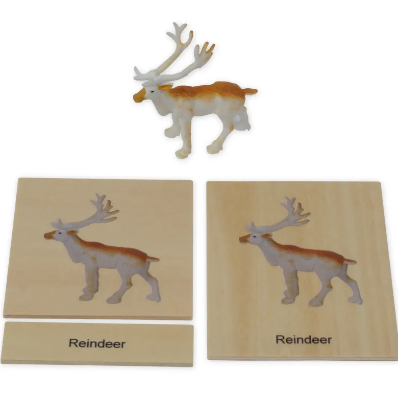 TimeTEX Mini-Tiere-Set Europa "Montessori Premium"