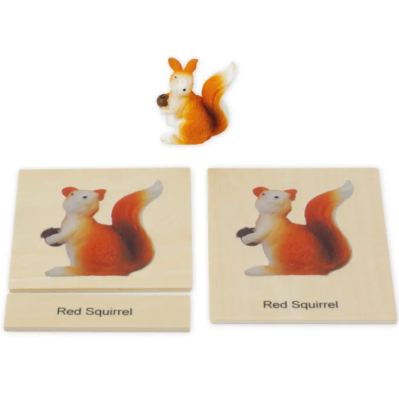 TimeTEX Mini-Tiere-Set Europa "Montessori Premium"