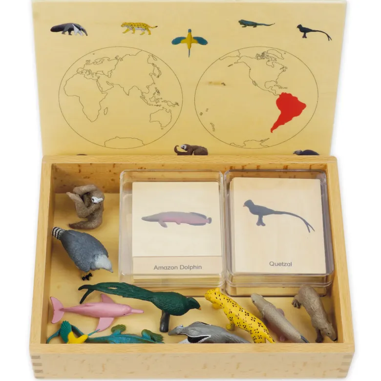 TimeTEX Mini-Tiere-Set Südamerika "Montessori Premium"
