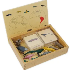 TimeTEX Mini-Tiere-Set Südamerika