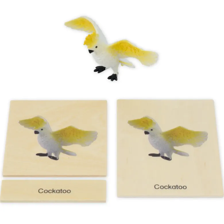 TimeTEX Mini-Tier-Set Australasien "Montessori Premium"