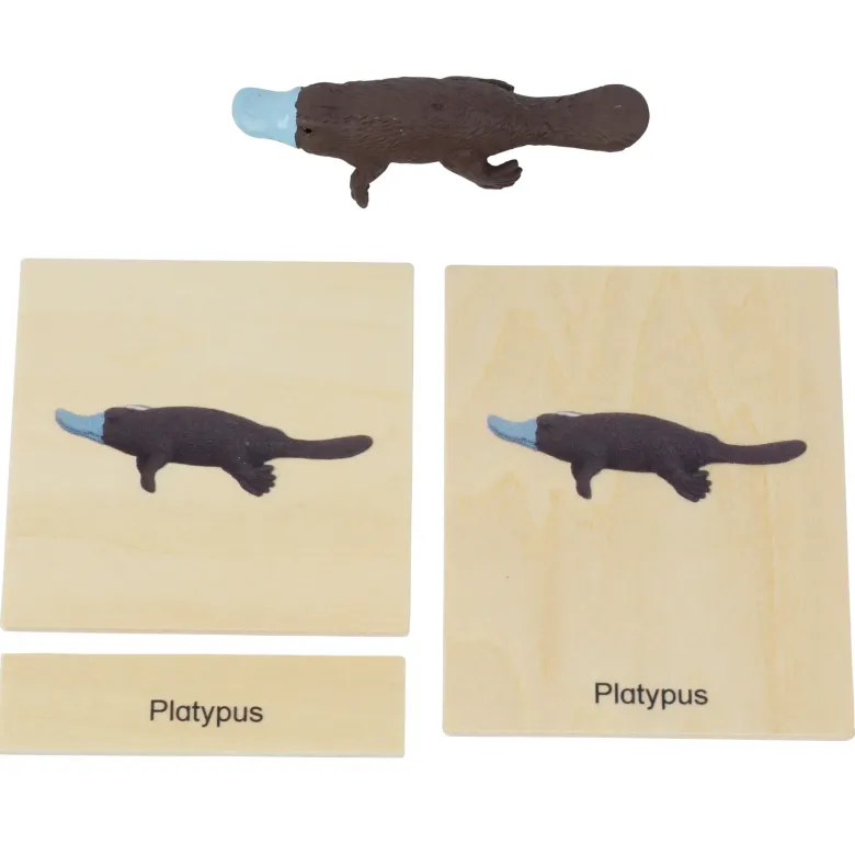 TimeTEX Mini-Tier-Set Australasien "Montessori Premium"