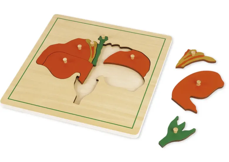 TimeTEX Puzzle Blume "Montessori Premium"
