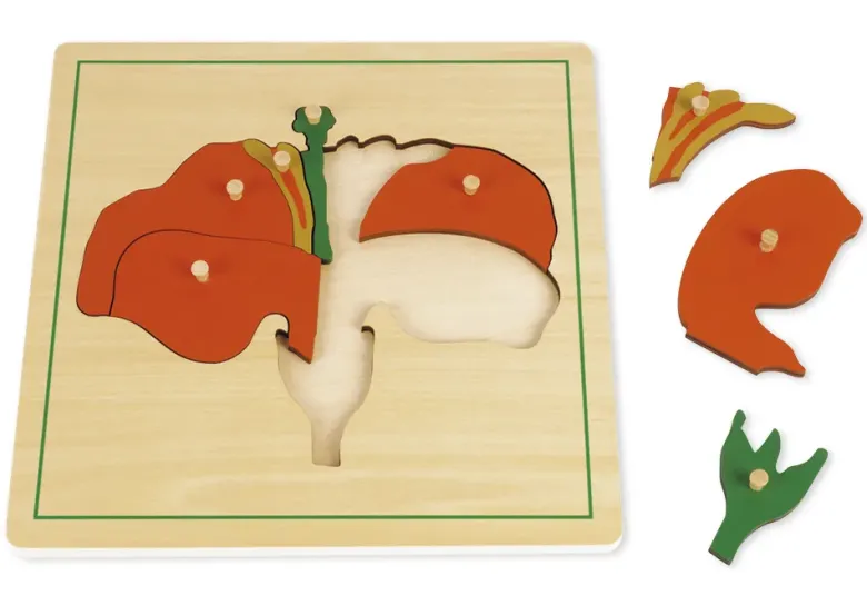 TimeTEX Puzzle Blume "Montessori Premium"