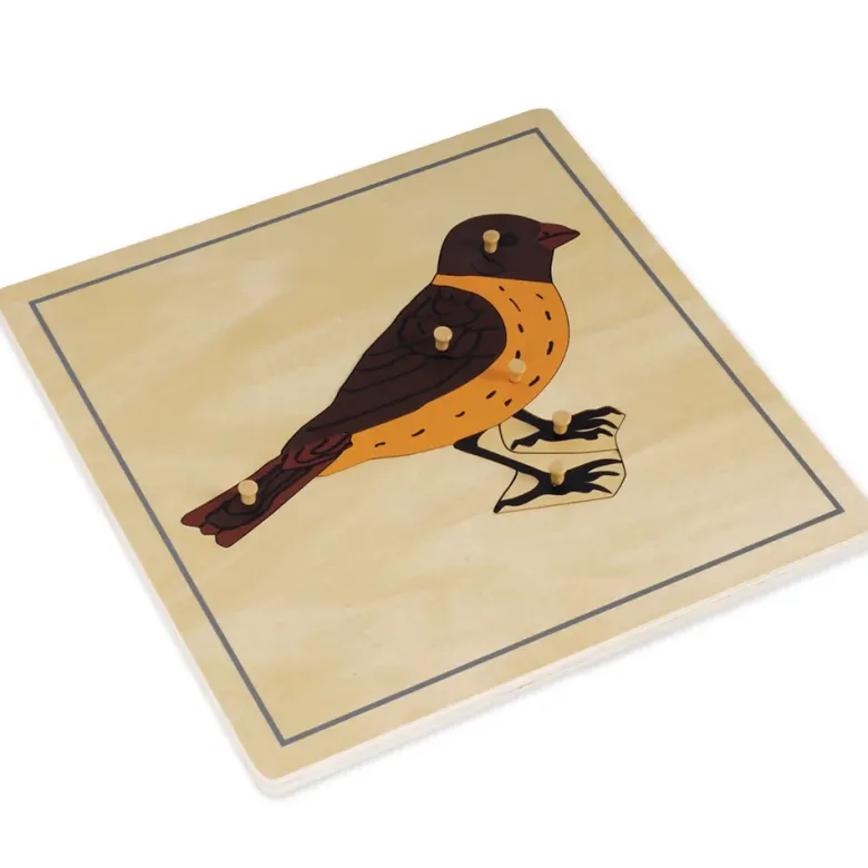 TimeTEX Puzzle Vogel "Montessori Premium"