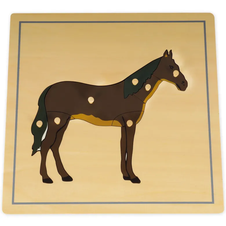 TimeTEX Set Tierpuzzle mit Ständer "Montessori Premium"