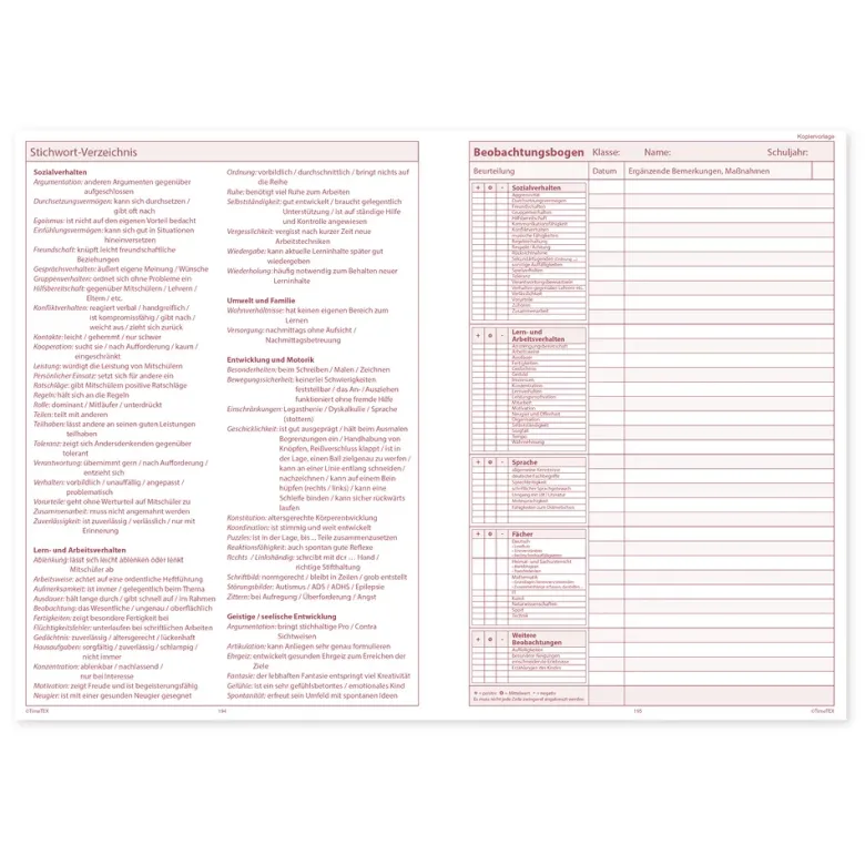 TimeTEX Sozial-Pädagogen-Schulplaner A4-Plus 2026/2027
