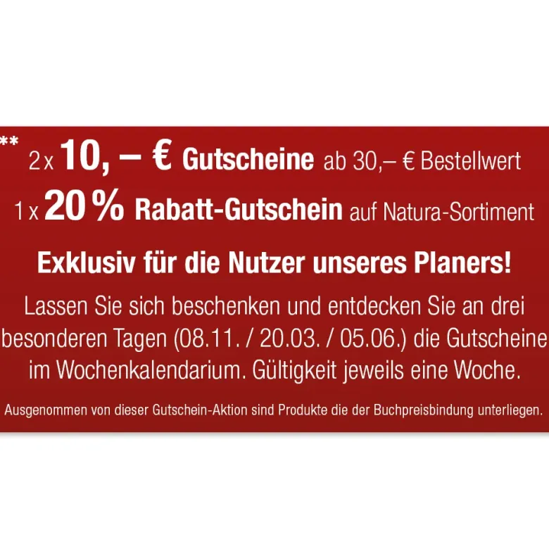 TimeTEX System-Schulplaner A4-Plus, gelb, 2026/2027
