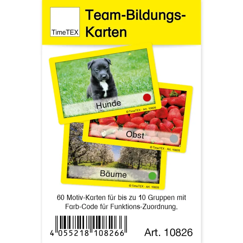 TimeTEX Team-Bildungs-Karten, 60-tlg. im Etui