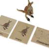 TimeTEX Tier-Kontinent-Box "Montessori Premium"