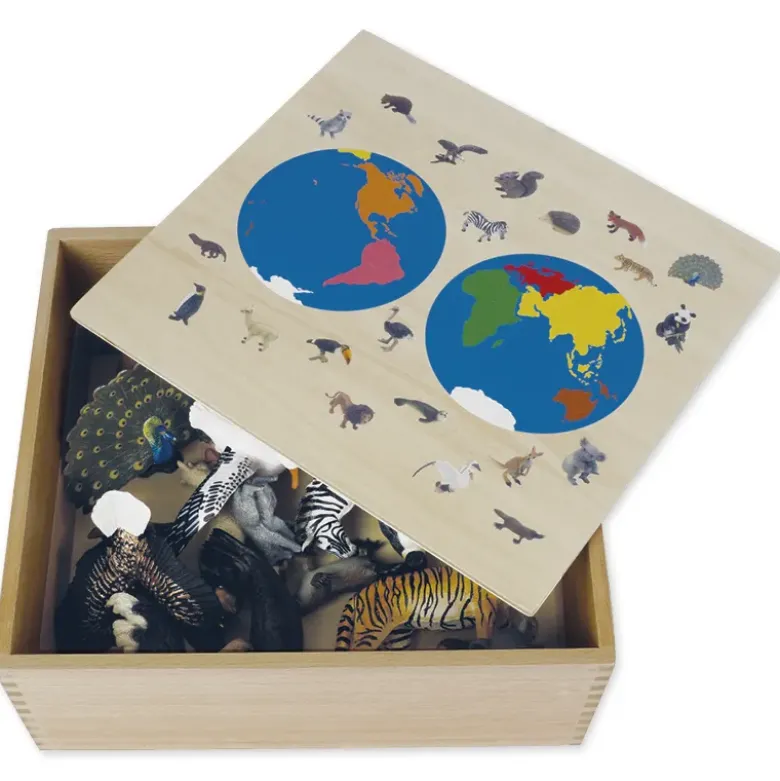TimeTEX Tier-Kontinent-Box "Montessori Premium"