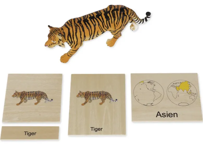 TimeTEX Tier-Kontinent-Box "Montessori Premium"