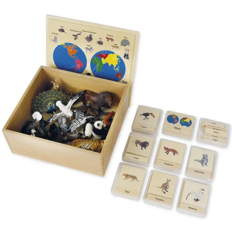 TimeTEX Tier-Kontinent-Box "Montessori Premium"