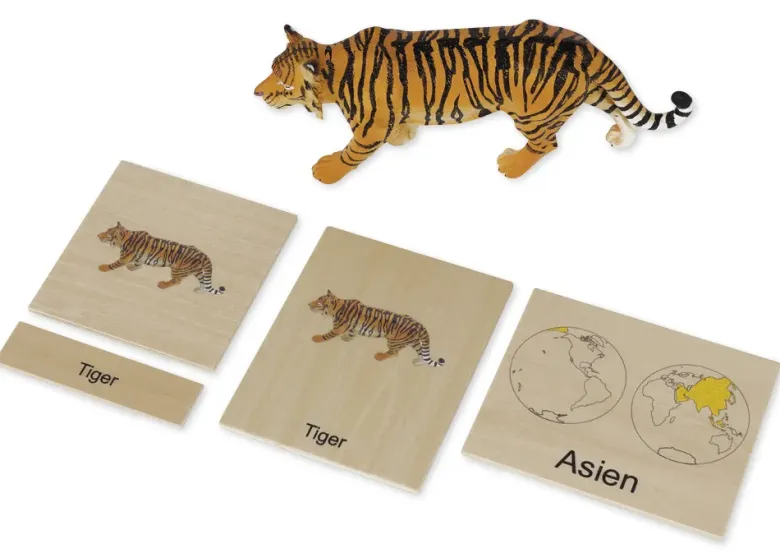 TimeTEX Tier-Kontinent-Box "Montessori Premium"