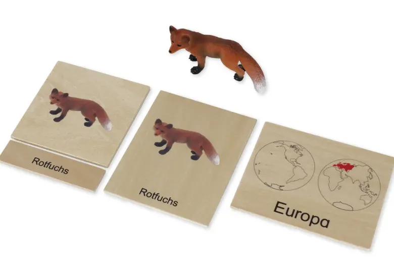 TimeTEX Tier-Kontinent-Box "Montessori Premium"