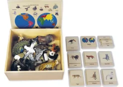TimeTEX Tier-Kontinent-Box