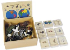 TimeTEX Tier-Kontinent-Box